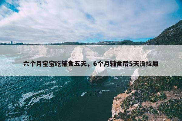 六个月宝宝吃辅食五天,6个月辅食后5天没拉屎 六个月宝宝吃辅食五天,6个月辅食后5天没拉屎