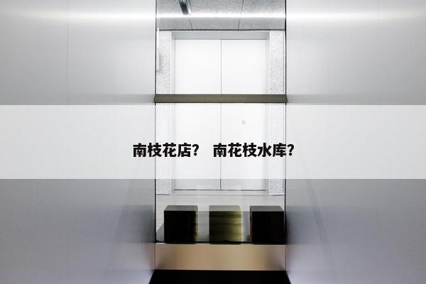 南枝花店? 南花枝水库? 南枝花店? 南花枝水库?
