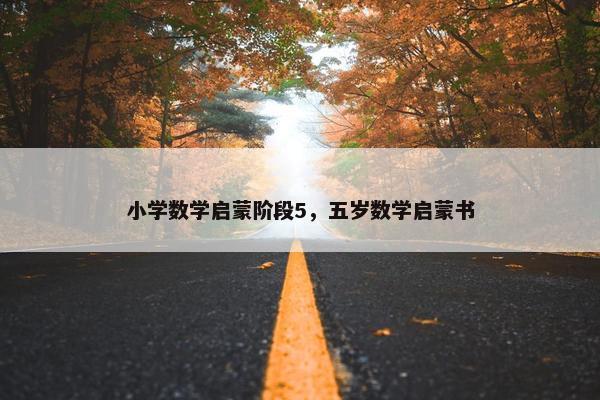 小学数学启蒙阶段5,五岁数学启蒙书 小学数学启蒙阶段5,五岁数学启蒙书