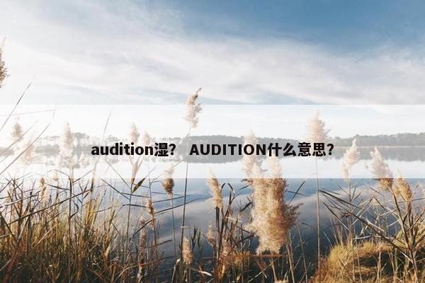 audition湿? AUDITION什么意思? audition湿? AUDITION什么意思?