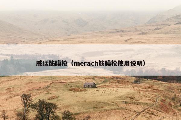 威猛筋膜枪(merach筋膜枪使用说明) 威猛筋膜枪(merach筋膜枪使用说明)