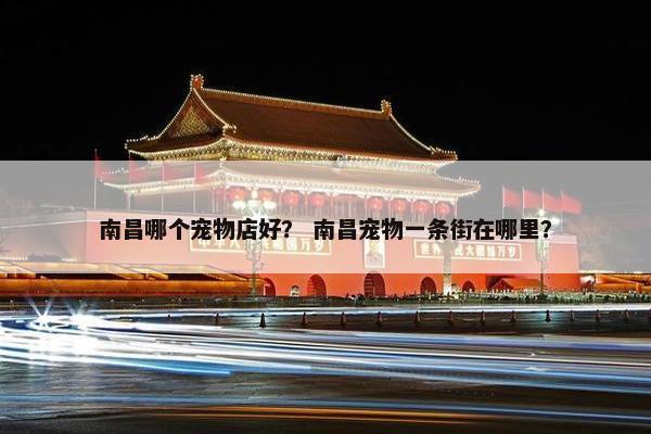南昌哪个宠物店好? 南昌宠物一条街在哪里? 南昌哪个宠物店好? 南昌宠物一条街在哪里?