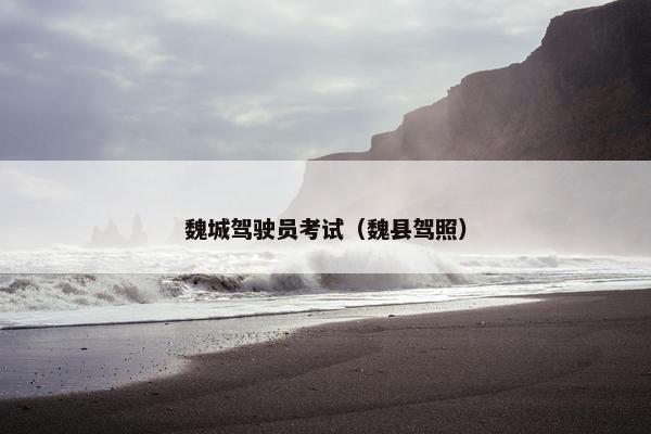 魏城驾驶员考试(魏县驾照) 魏城驾驶员考试(魏县驾照)