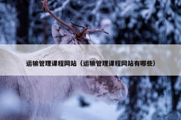 运输管理课程网站（运输管理课程网站有哪些）