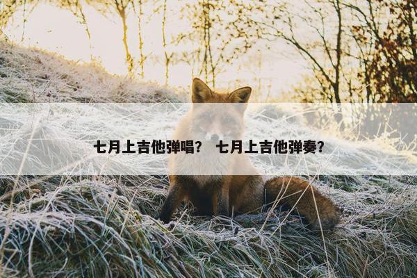 七月上吉他弹唱？ 七月上吉他弹奏？