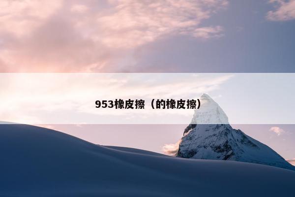 953橡皮擦(的橡皮擦) 953橡皮擦(的橡皮擦)