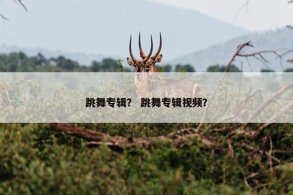 跳舞专辑？ 跳舞专辑视频？