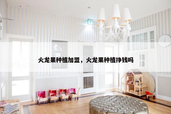 火龙果种植加盟,火龙果种植挣钱吗 火龙果种植加盟,火龙果种植挣钱吗