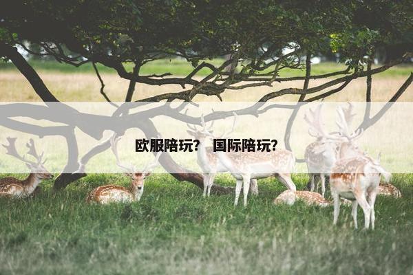 欧服陪玩? 国际陪玩? 欧服陪玩? 国际陪玩?