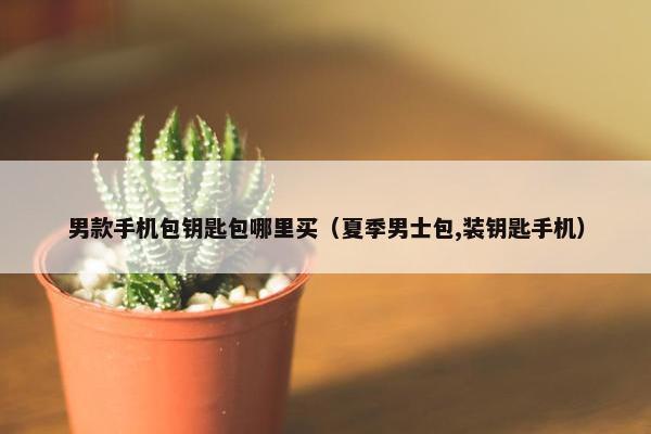 男款手机包钥匙包哪里买(夏季男士包,装钥匙手机) 男款手机包钥匙包哪里买(夏季男士包,装钥匙手机)