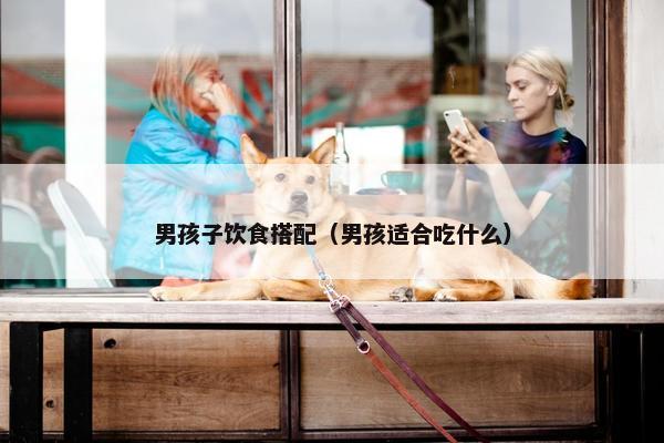 男孩子饮食搭配（男孩适合吃什么）