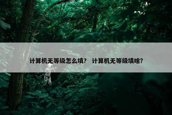 计算机无等级怎么填？ 计算机无等级填啥？