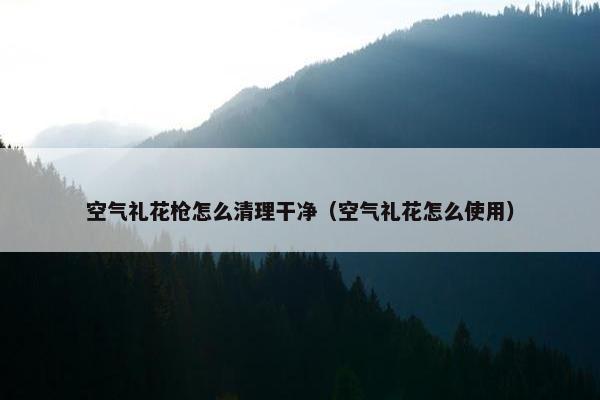 空气礼花枪怎么清理干净（空气礼花怎么使用）