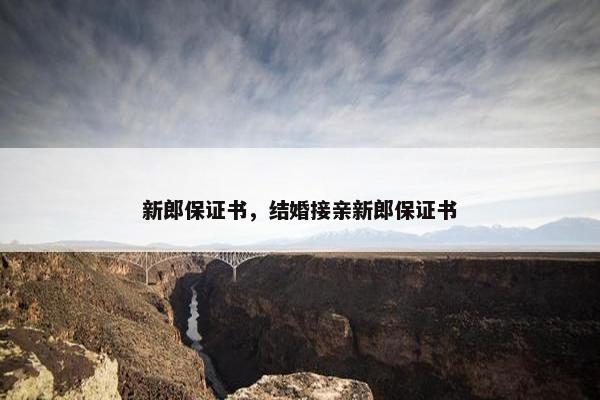 新郎保证书，结婚接亲新郎保证书