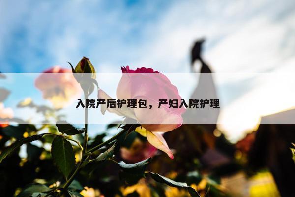 入院产后护理包,产妇入院护理 入院产后护理包,产妇入院护理