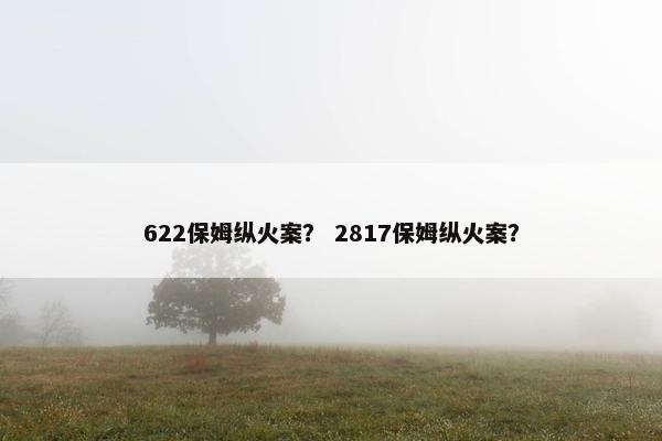 622保姆纵火案？ 2817保姆纵火案？