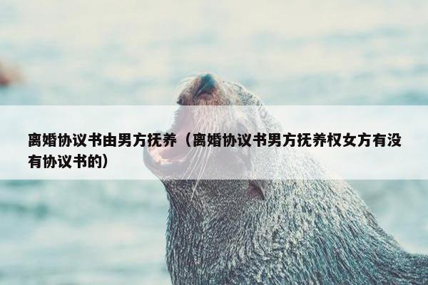 离婚协议书由男方抚养（离婚协议书男方抚养权女方有没有协议书的）