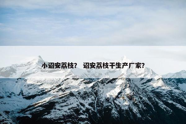 小诏安荔枝？ 诏安荔枝干生产厂家？