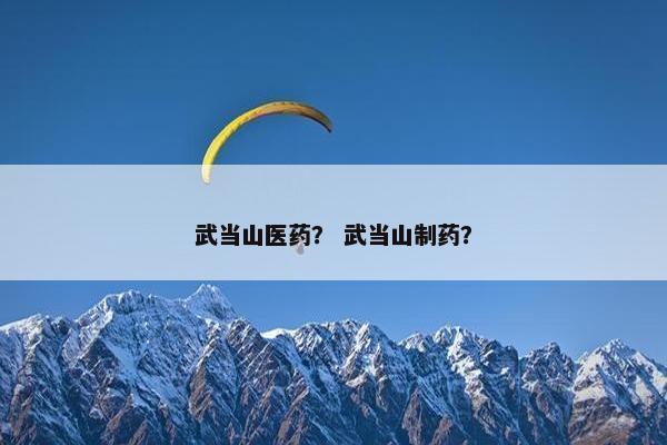 武当山医药？ 武当山制药？