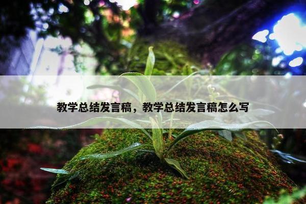 教学总结发言稿,教学总结发言稿怎么写 教学总结发言稿,教学总结发言稿怎么写