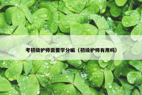 考初级护师需要学分嘛（初级护师有用吗）