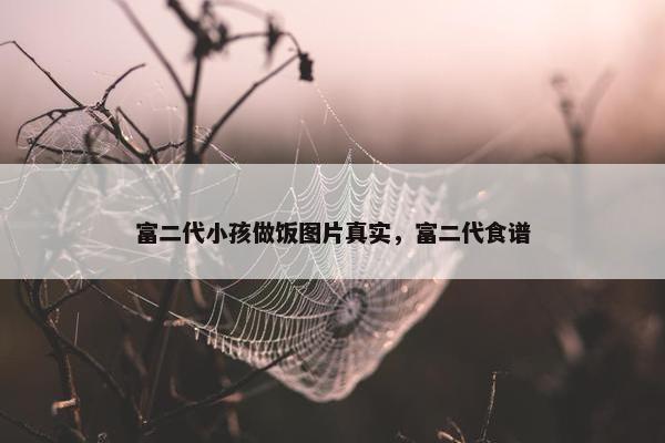 富二代小孩做饭图片真实，富二代食谱