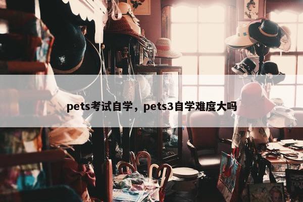 pets考试自学，pets3自学难度大吗