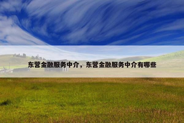 东营金融服务中介,东营金融服务中介有哪些 东营金融服务中介,东营金融服务中介有哪些