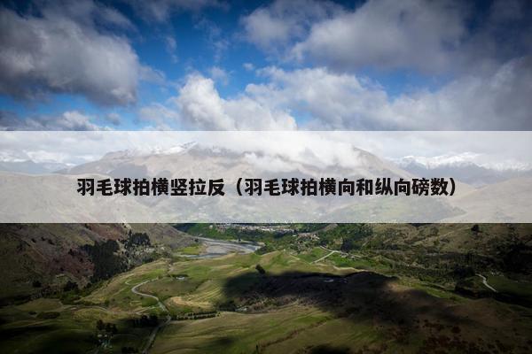 羽毛球拍横竖拉反(羽毛球拍横向和纵向磅数) 羽毛球拍横竖拉反(羽毛球拍横向和纵向磅数)