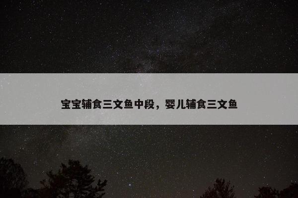 宝宝辅食三文鱼中段,婴儿辅食三文鱼 宝宝辅食三文鱼中段,婴儿辅食三文鱼