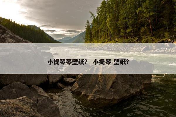 小提琴琴壁纸? 小提琴 壁纸? 小提琴琴壁纸? 小提琴 壁纸?