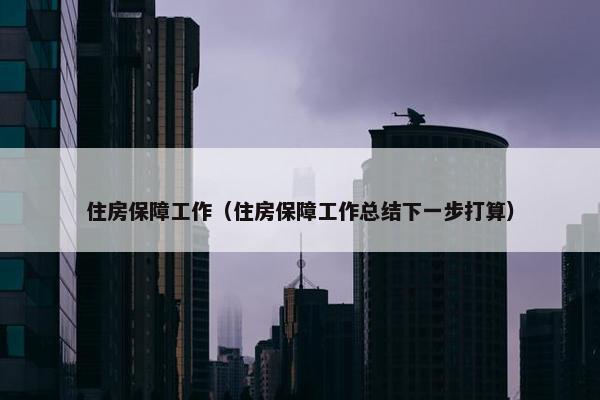 住房保障工作（住房保障工作总结下一步打算）