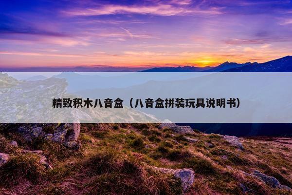精致积木八音盒(八音盒拼装玩具说明书) 精致积木八音盒(八音盒拼装玩具说明书)