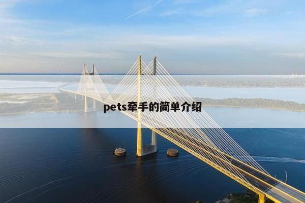 pets牵手的简单介绍 pets牵手的简单介绍