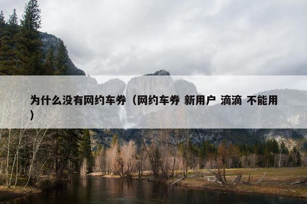 为什么没有网约车券(网约车券 新用户 滴滴 不能用) 为什么没有网约车券(网约车券 新用户 滴滴 不能用)