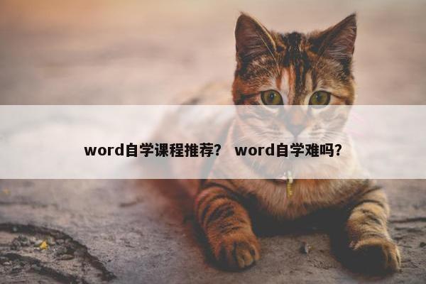 word自学课程推荐？ word自学难吗？