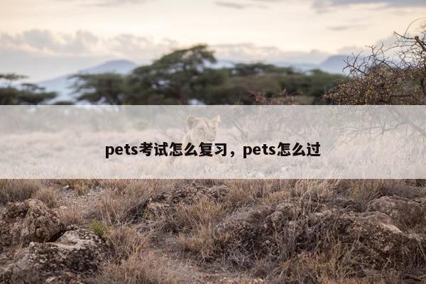 pets考试怎么复习，pets怎么过