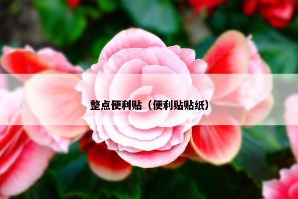 整点便利贴(便利贴贴纸) 整点便利贴(便利贴贴纸)