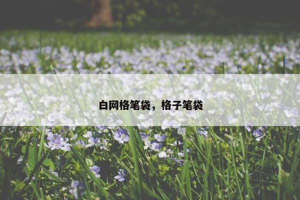 白网格笔袋,格子笔袋 白网格笔袋,格子笔袋