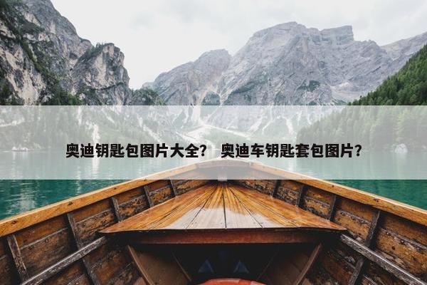 奥迪钥匙包图片大全? 奥迪车钥匙套包图片? 奥迪钥匙包图片大全? 奥迪车钥匙套包图片?