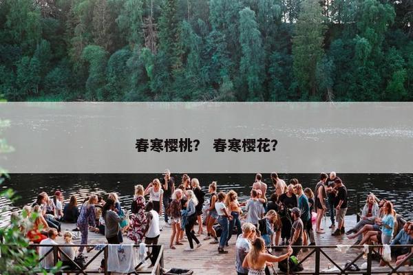 春寒樱桃？ 春寒樱花？