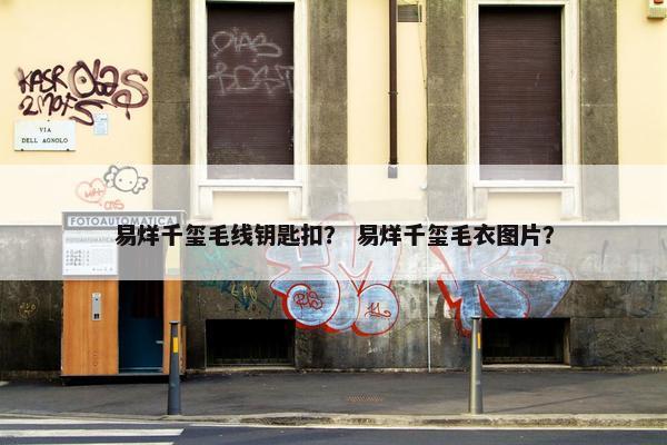 易烊千玺毛线钥匙扣？ 易烊千玺毛衣图片？