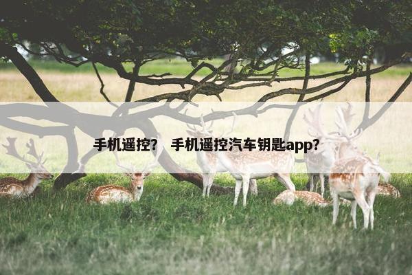 手机遥控? 手机遥控汽车钥匙app? 手机遥控? 手机遥控汽车钥匙app?