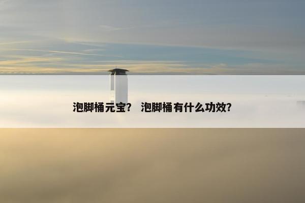 泡脚桶元宝? 泡脚桶有什么功效? 泡脚桶元宝? 泡脚桶有什么功效?