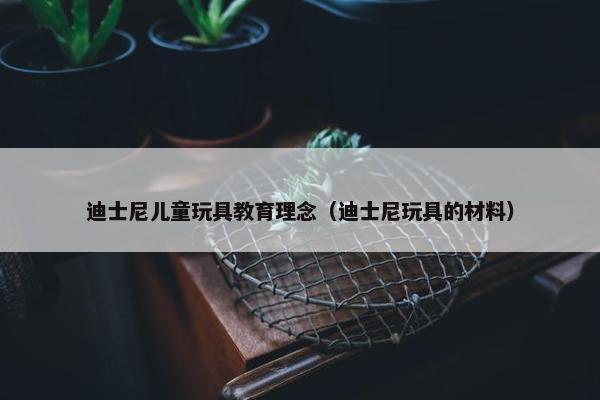 迪士尼儿童玩具教育理念(迪士尼玩具的材料) 迪士尼儿童玩具教育理念(迪士尼玩具的材料)