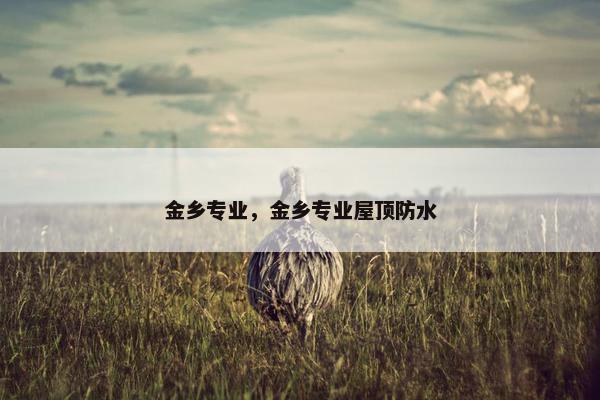 金乡专业,金乡专业屋顶防水 金乡专业,金乡专业屋顶防水