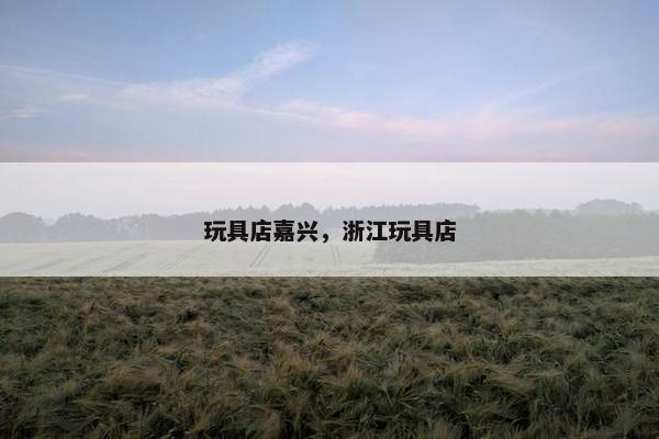 玩具店嘉兴,浙江玩具店 玩具店嘉兴,浙江玩具店