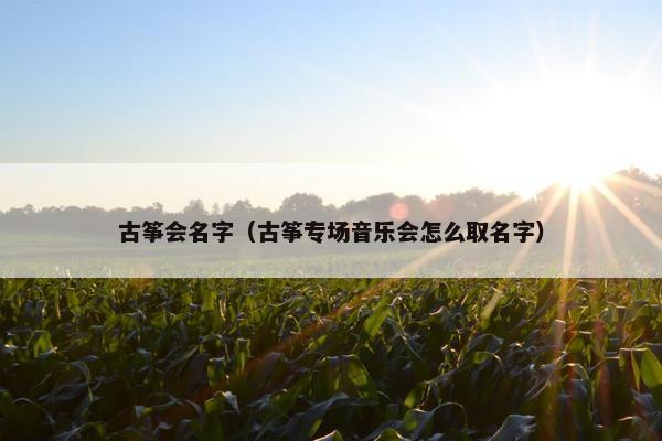 古筝会名字（古筝专场音乐会怎么取名字）
