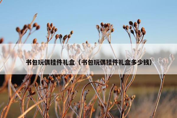 书包玩偶挂件礼盒(书包玩偶挂件礼盒多少钱) 书包玩偶挂件礼盒(书包玩偶挂件礼盒多少钱)