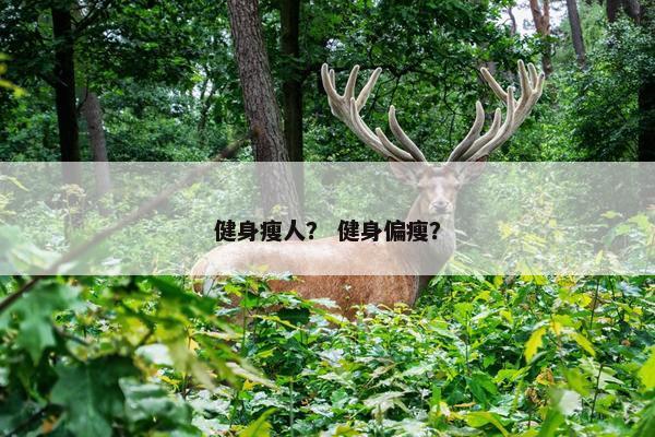 健身瘦人? 健身偏瘦? 健身瘦人? 健身偏瘦?